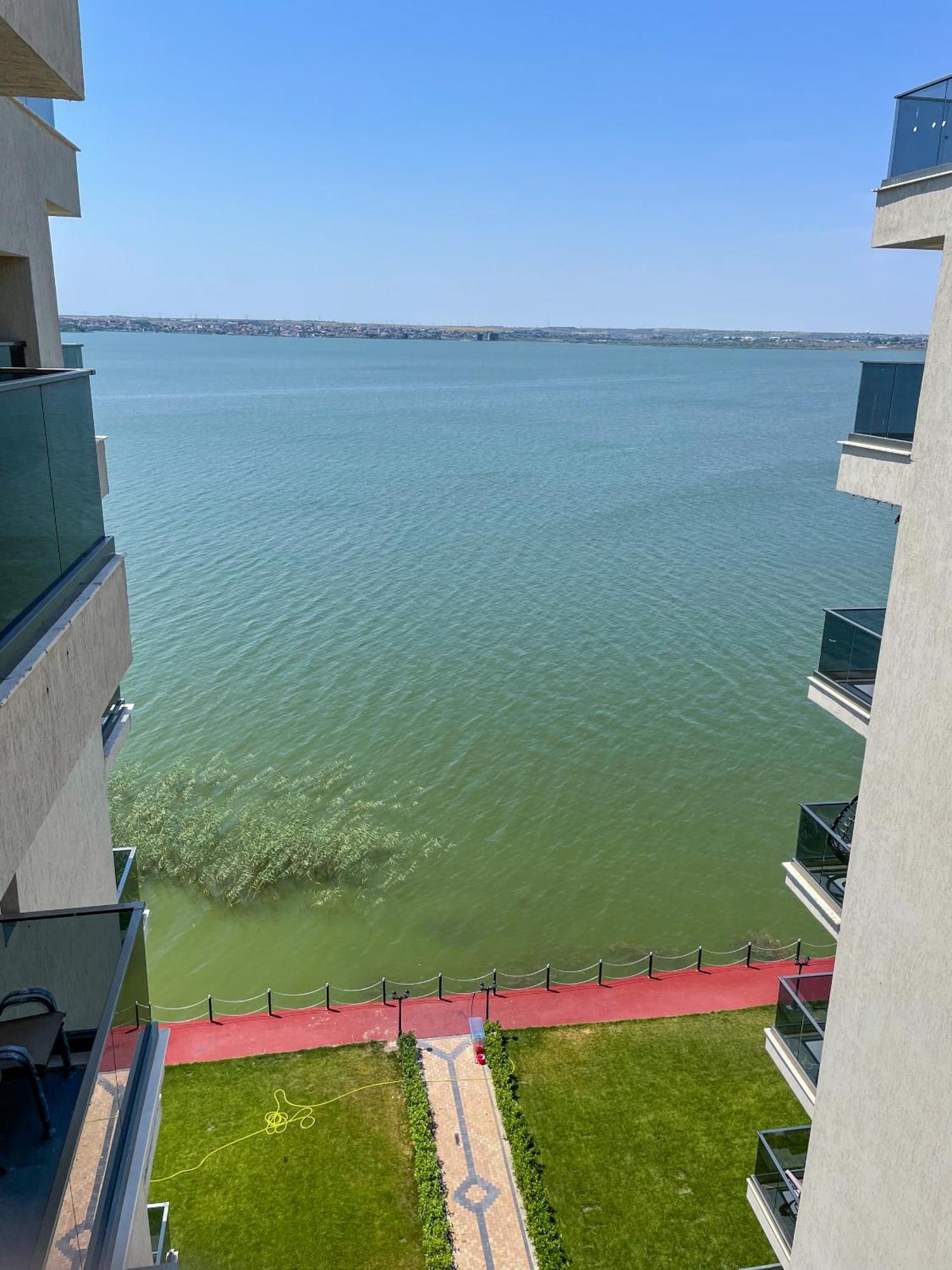 Azure Sea Apartments - Bychoice Mamaia Room photo